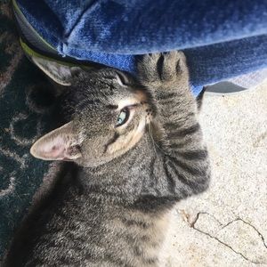 Meet your Posher, Sherry